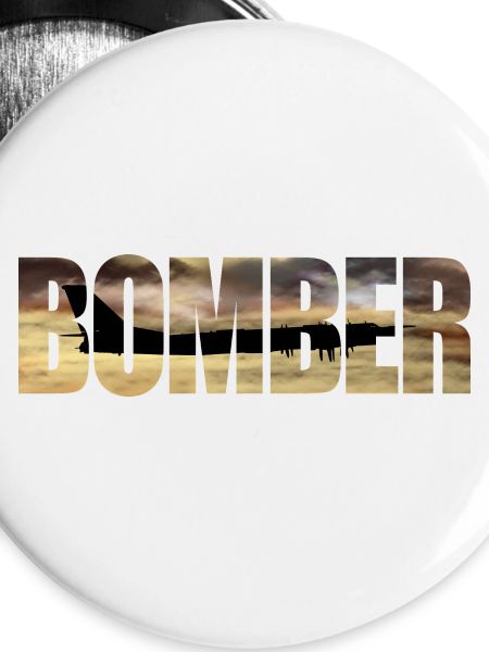 Bomber Tu-95