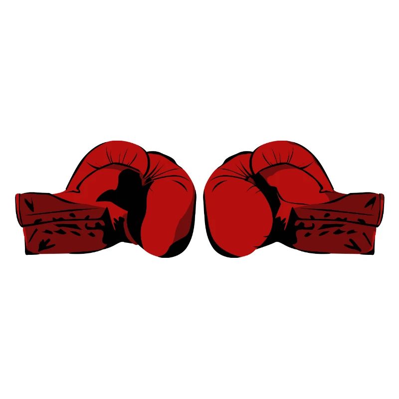 Boxhandschuhe