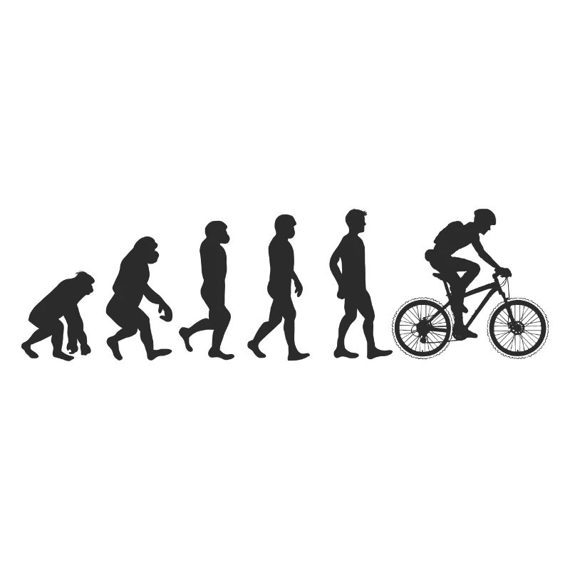 Evolution Bicycle