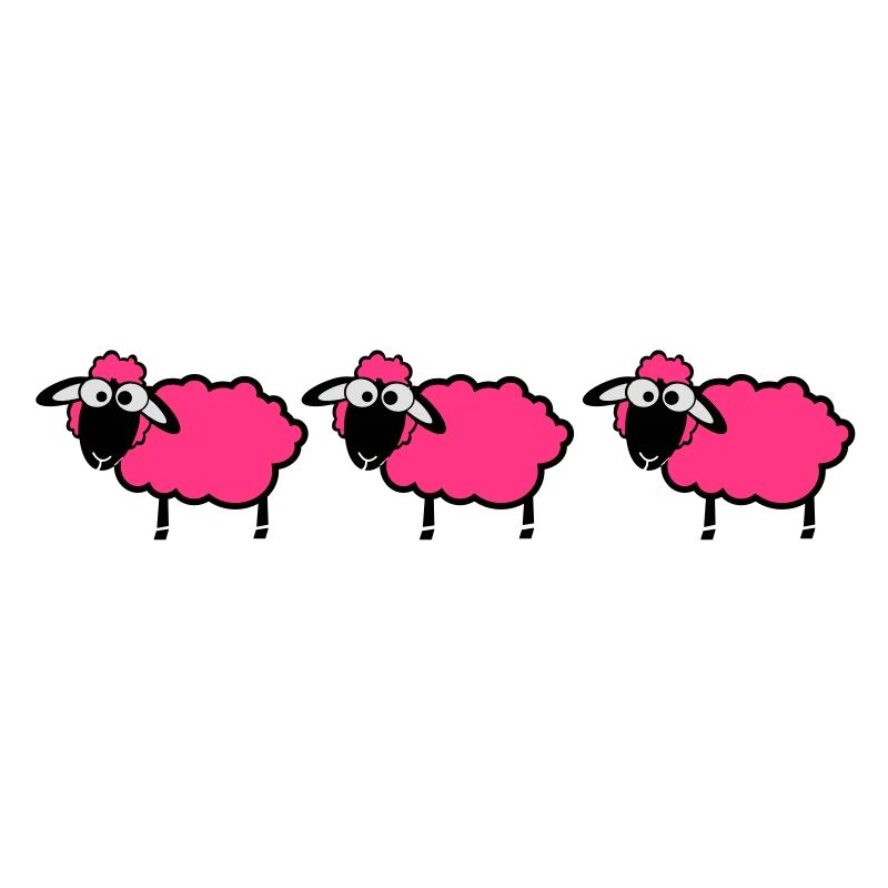 flock sheep
