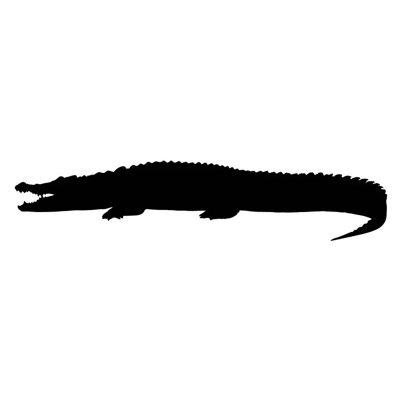 crocodile silhouette