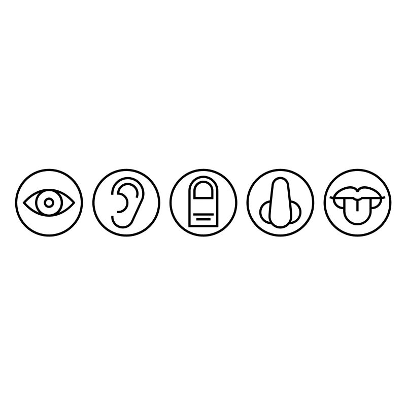 Five Senses, Sensory Organs, Medicine