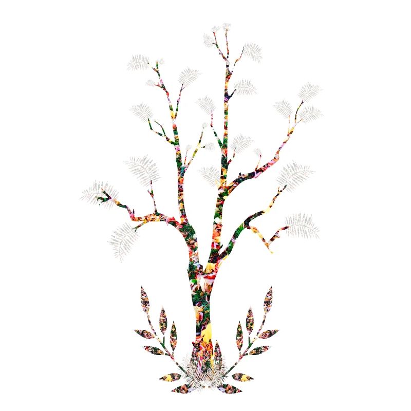 Arbre fleuri feuilles plumes blanches