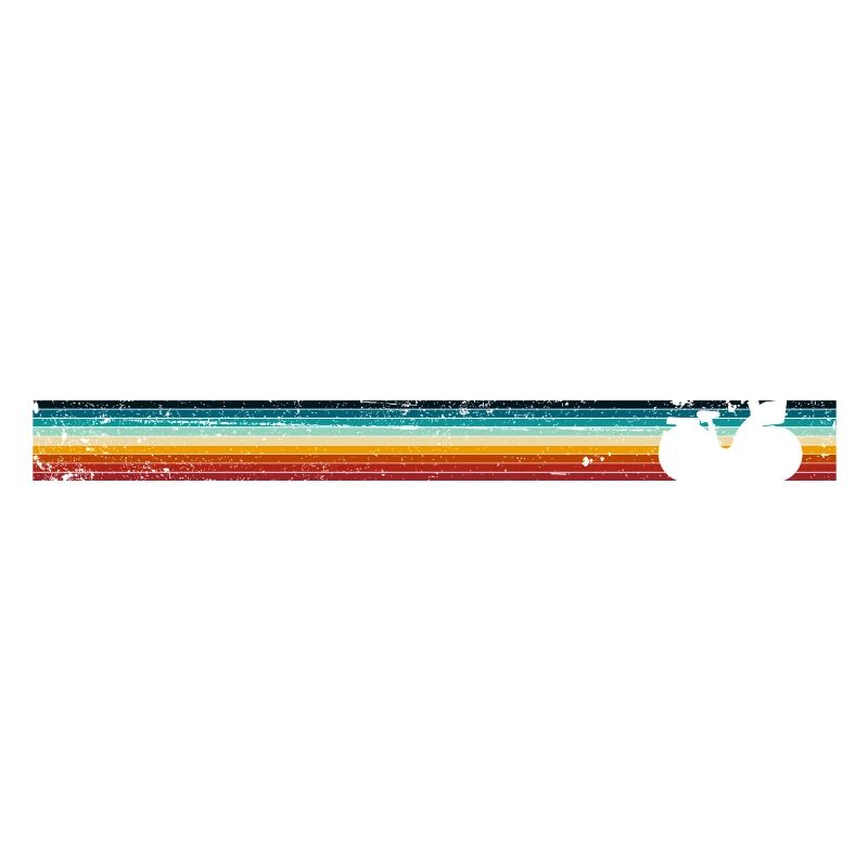 Retro Bicycle on Rainbow Stripes