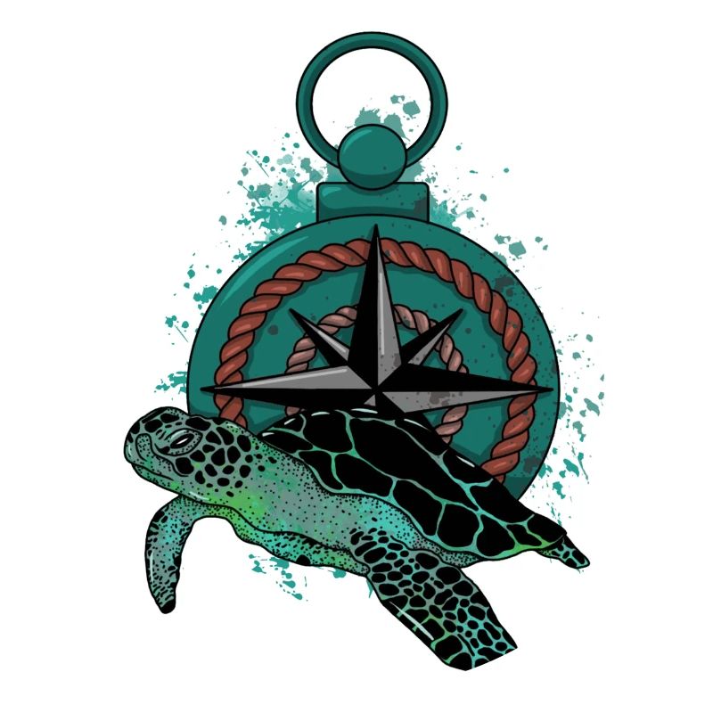 Turtle Compass