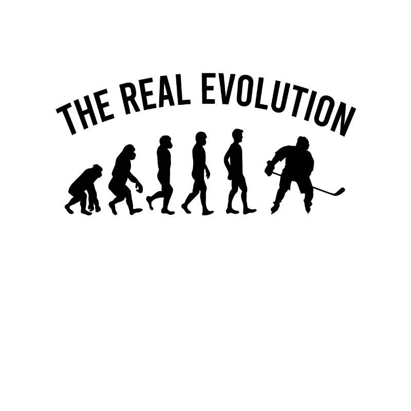 Evolution hockey