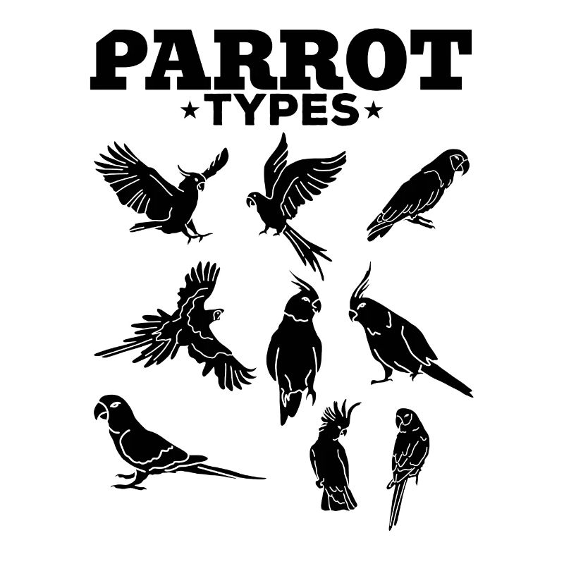 Parrot types Parrots Budgerigar Macaws