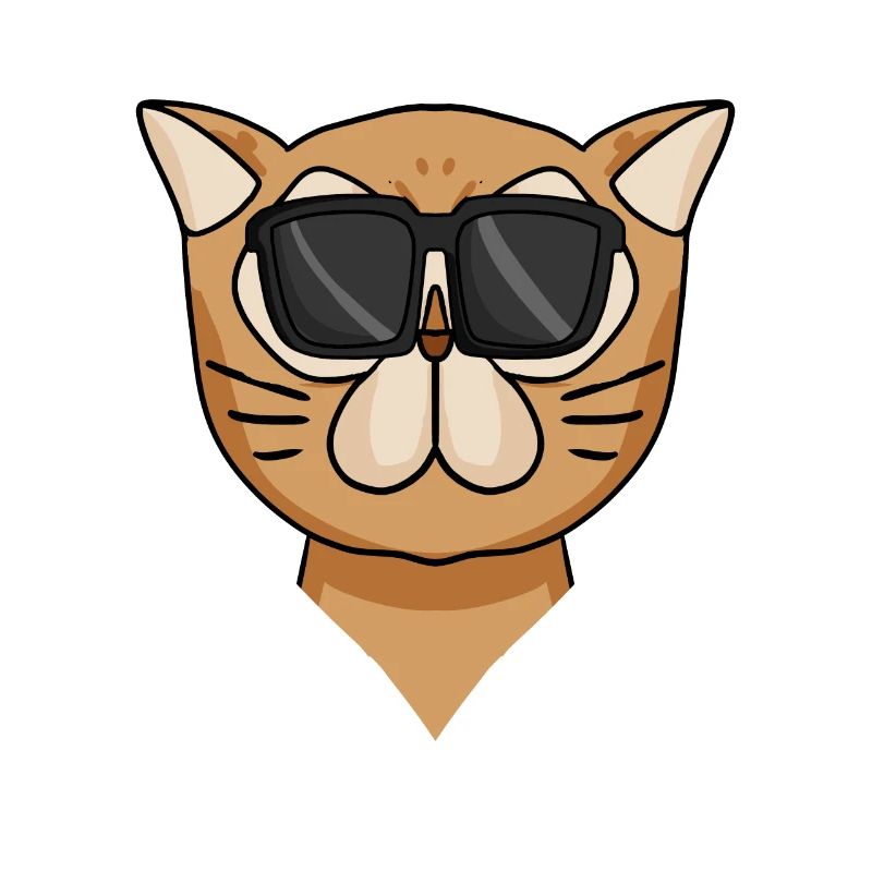 Cool Chat Persan Chat Race Chat