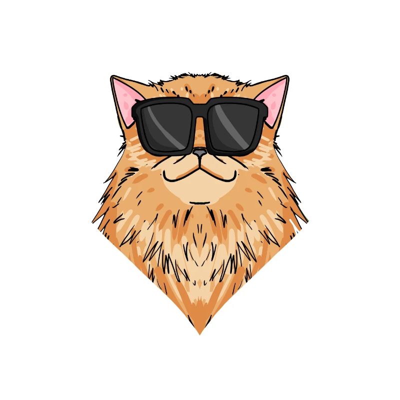 Cool Chat Persan Chat Race Chat