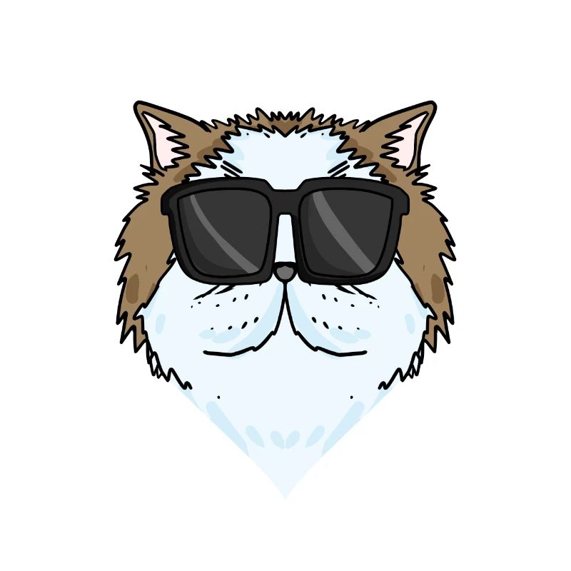 Cool Chat Persan Chat Race Chat