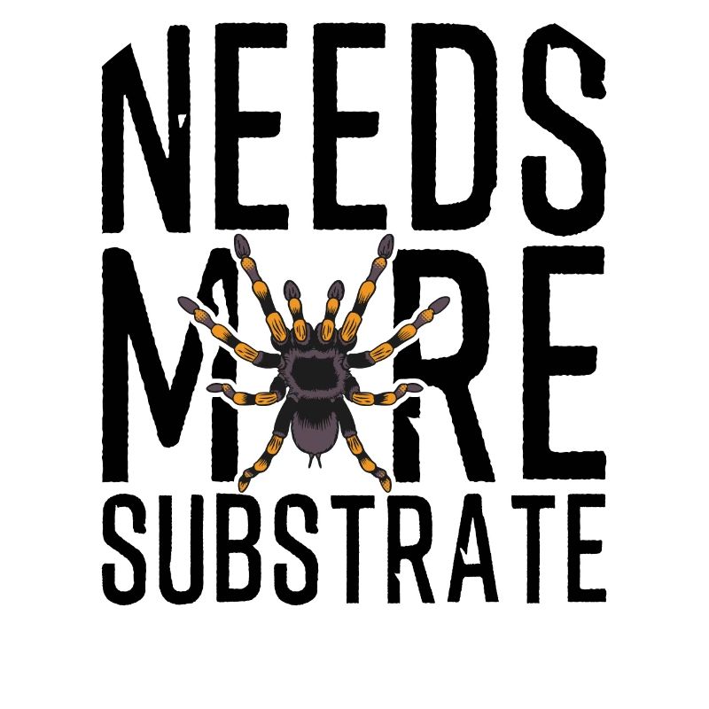 Funny Tarantula Needs More Substrate Spider Owner