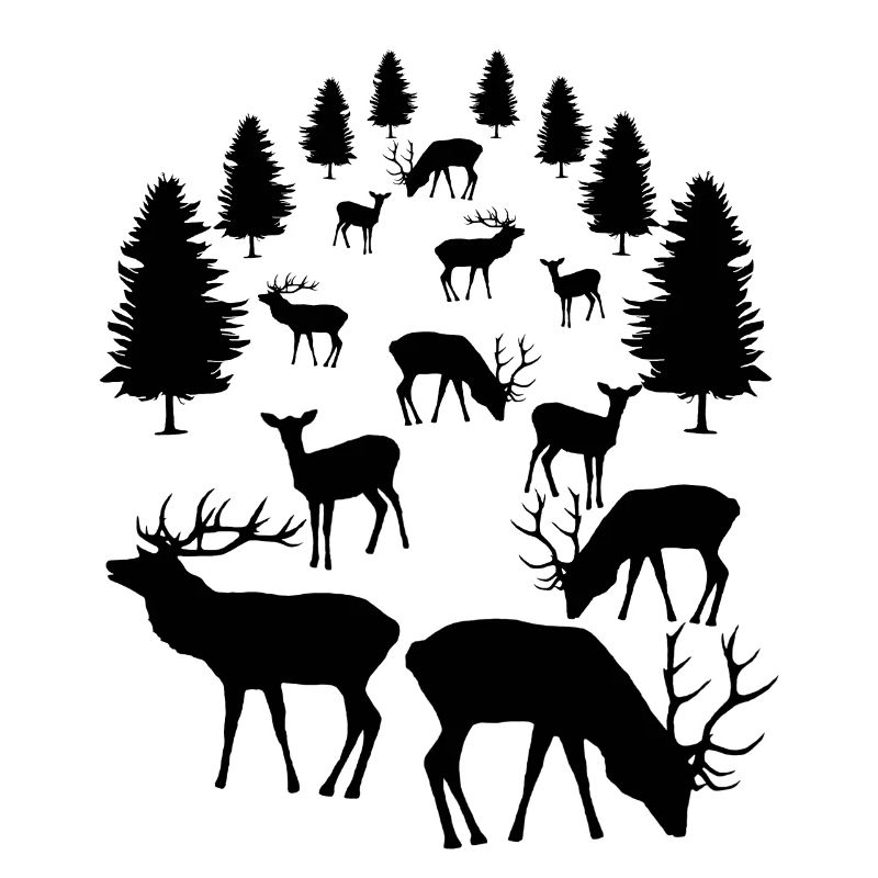 Deer, roe deer, red deer, fallow deer, deer, roebuck