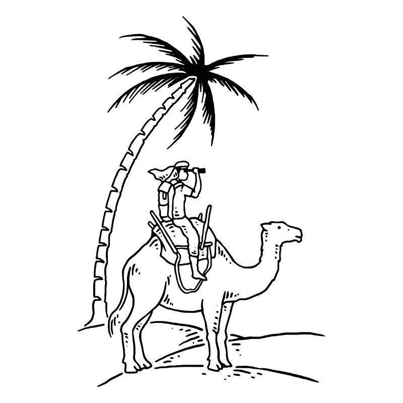 Sahara expedition