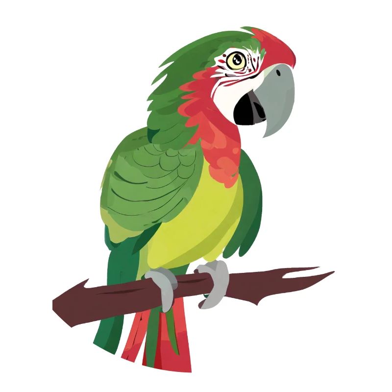 Parrot
