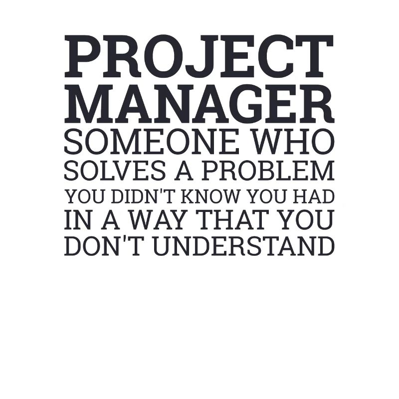 "Project Manager Solve Problems" | Project Manager