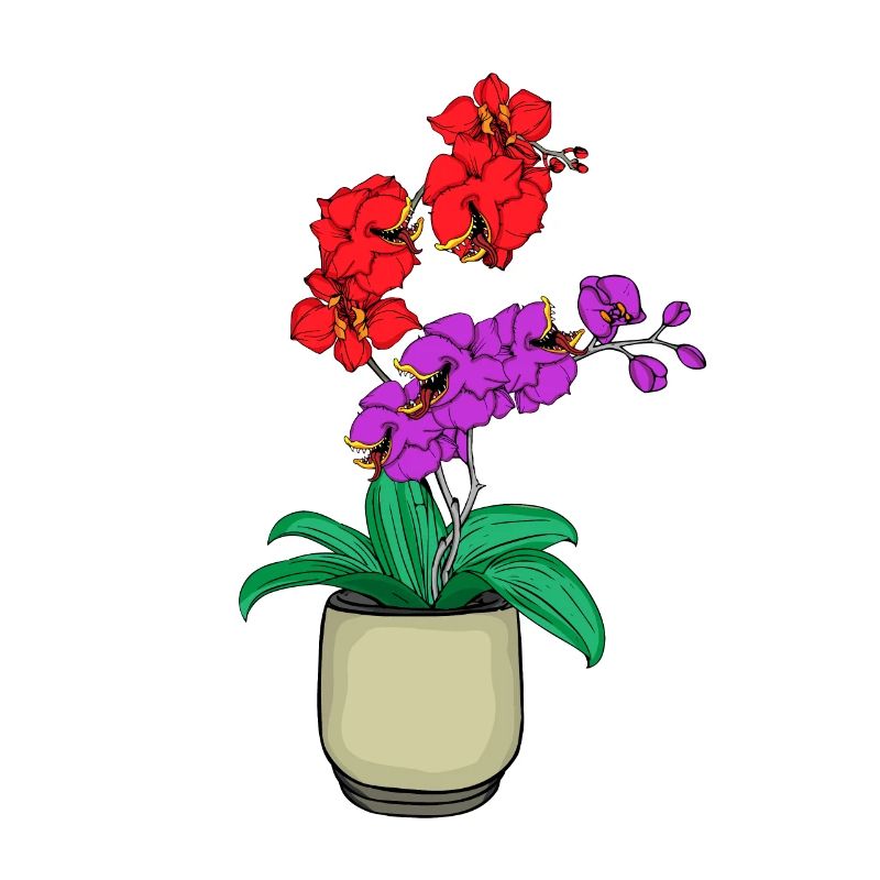 Piège à mouches de Vénus carnivore orchidée