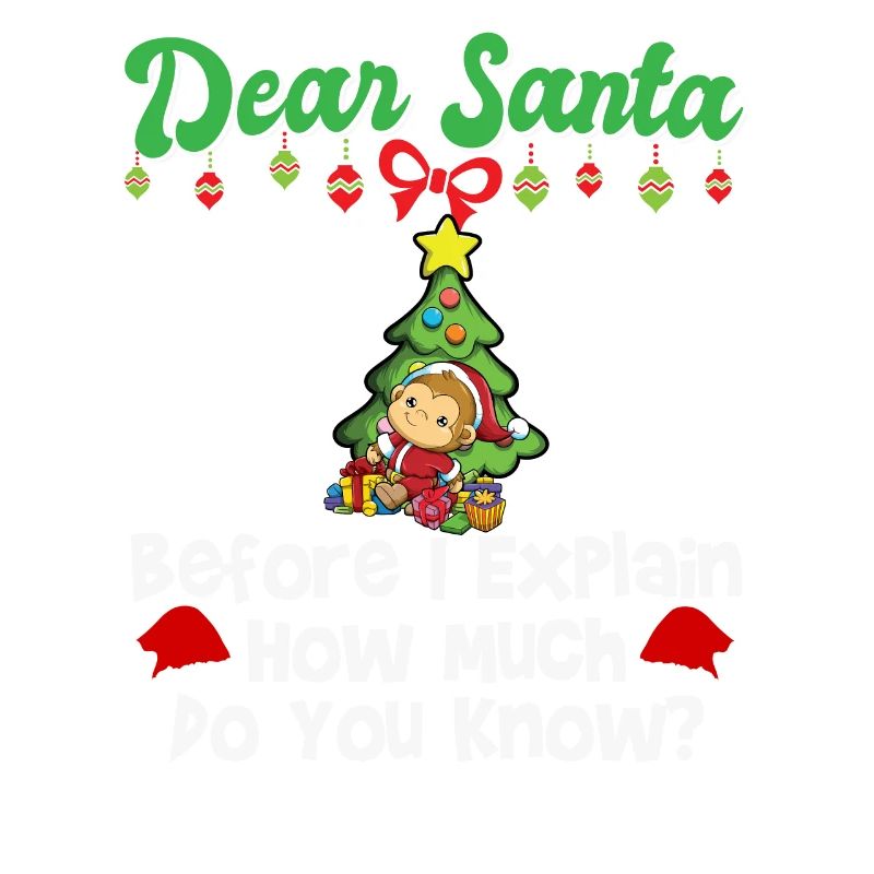 Dear Santa Before I Explain How Much Do You Know