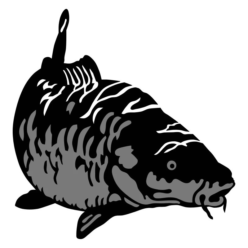 Carp