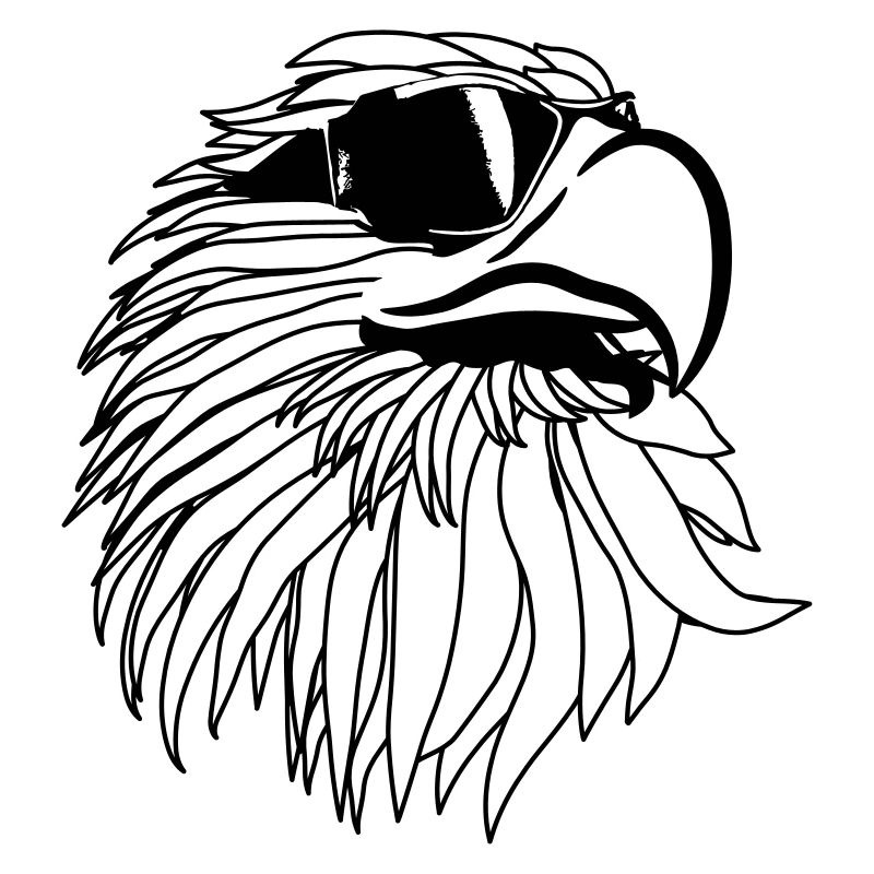 Aigle de cool lunettes de soleil tête Eagle