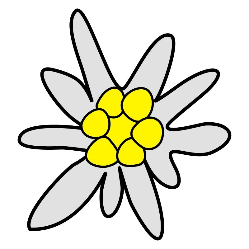 Edelweiss, fleur