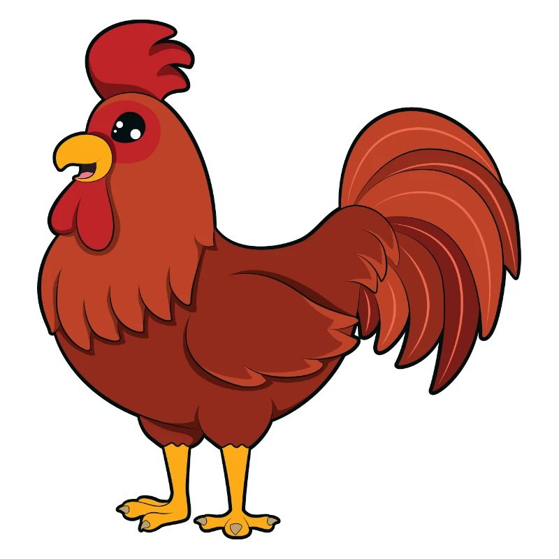 Rooster