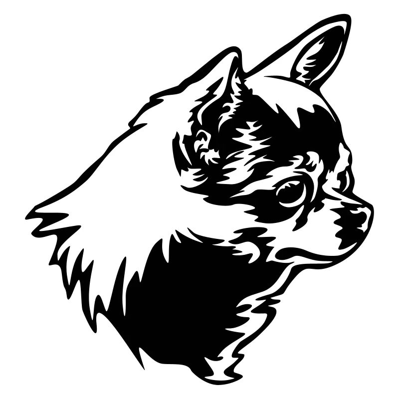 Chihuhahua Head