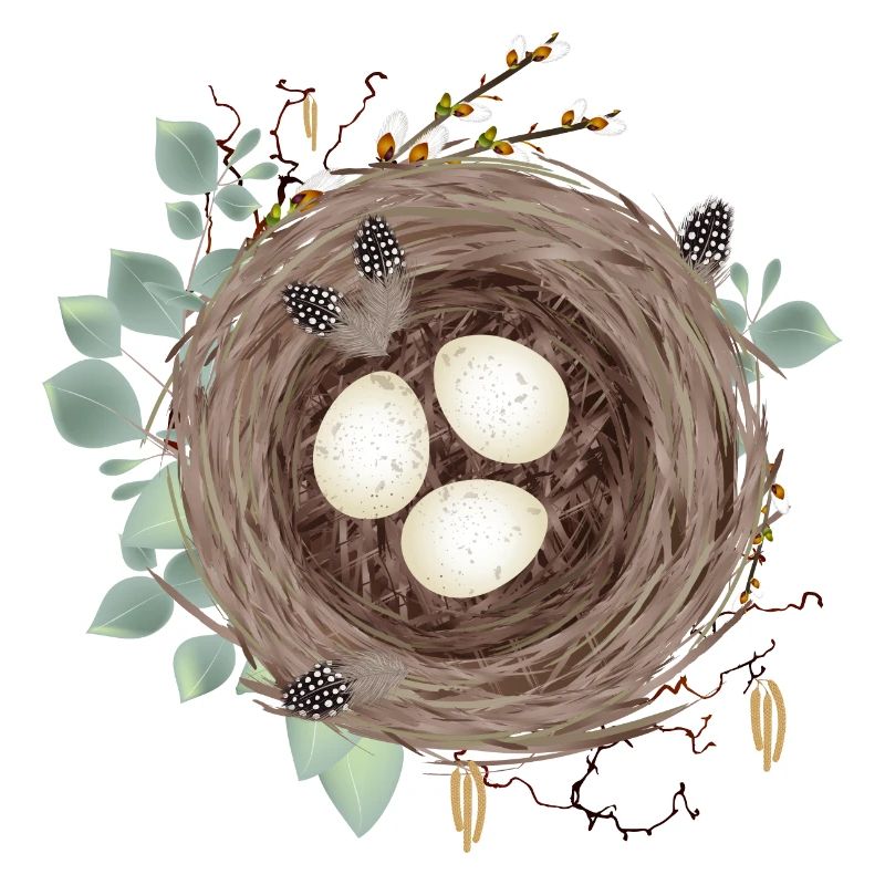 Bird's nest or Easter nest with three eggs and feathers