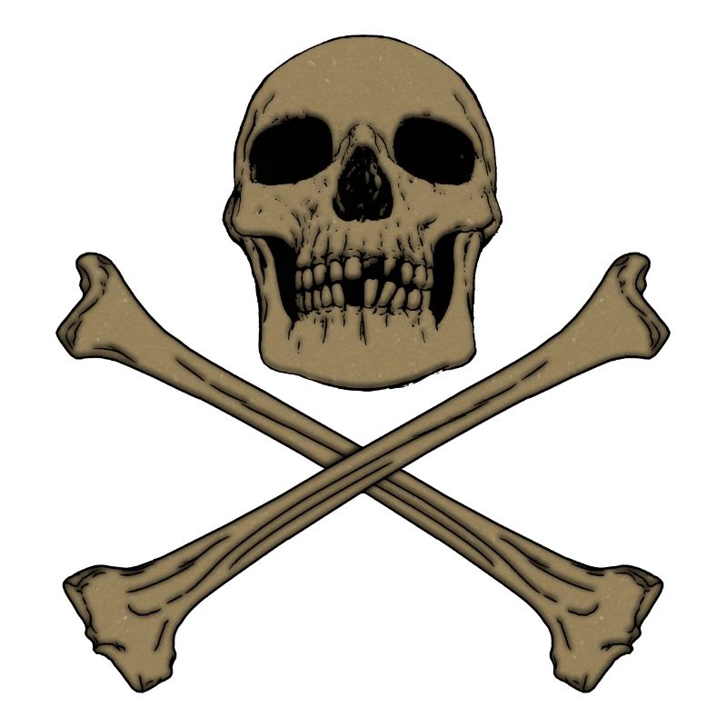 DRAPEAU PIRATE II
