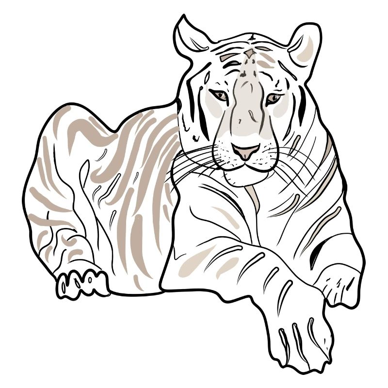 LYING TIGER
