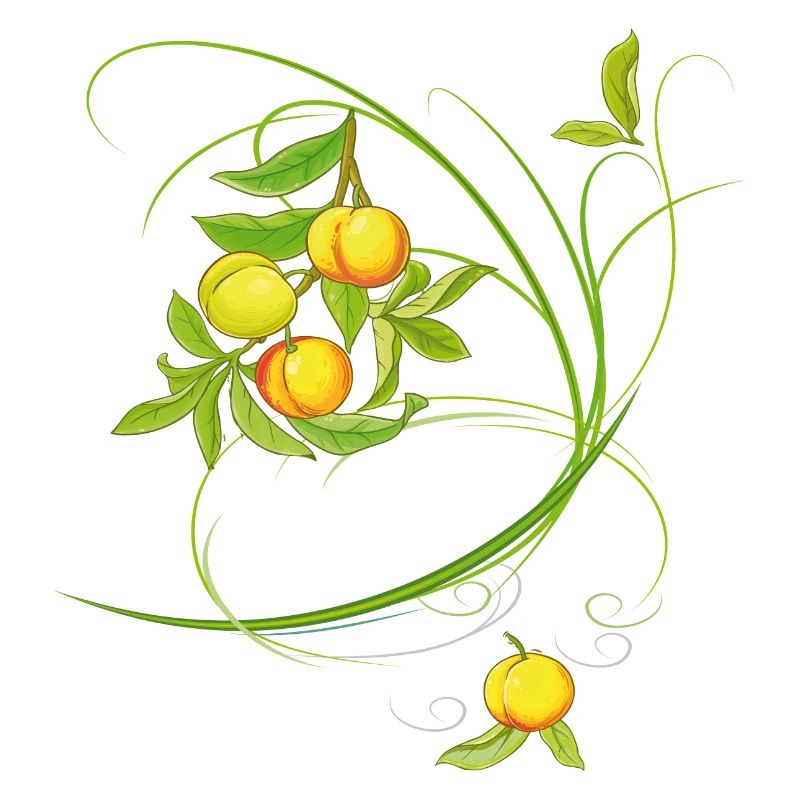 Peaches, fruit