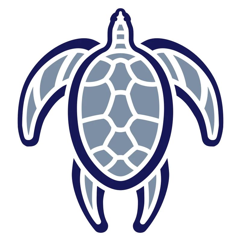 wee turtle