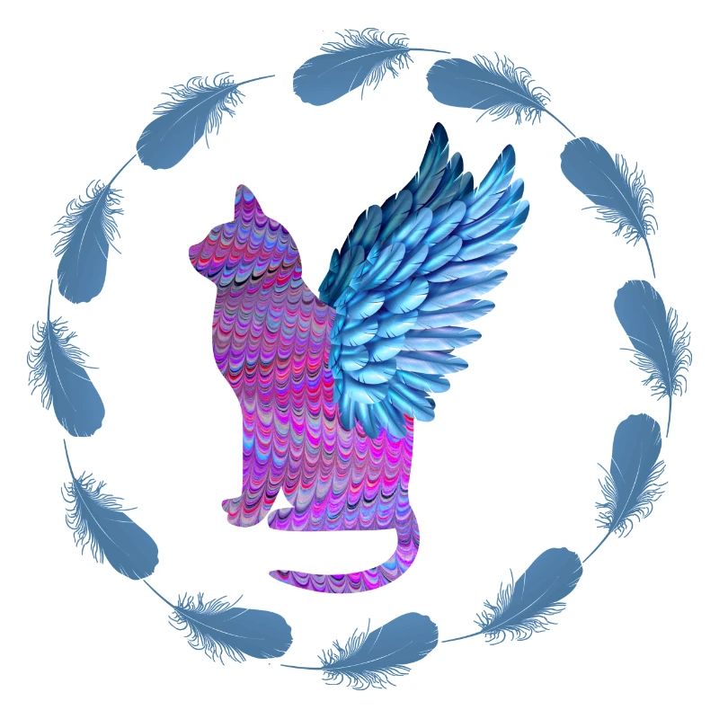 Ange chat E 62