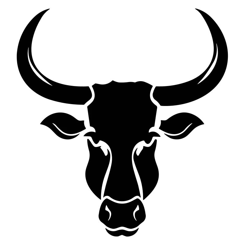 Stier