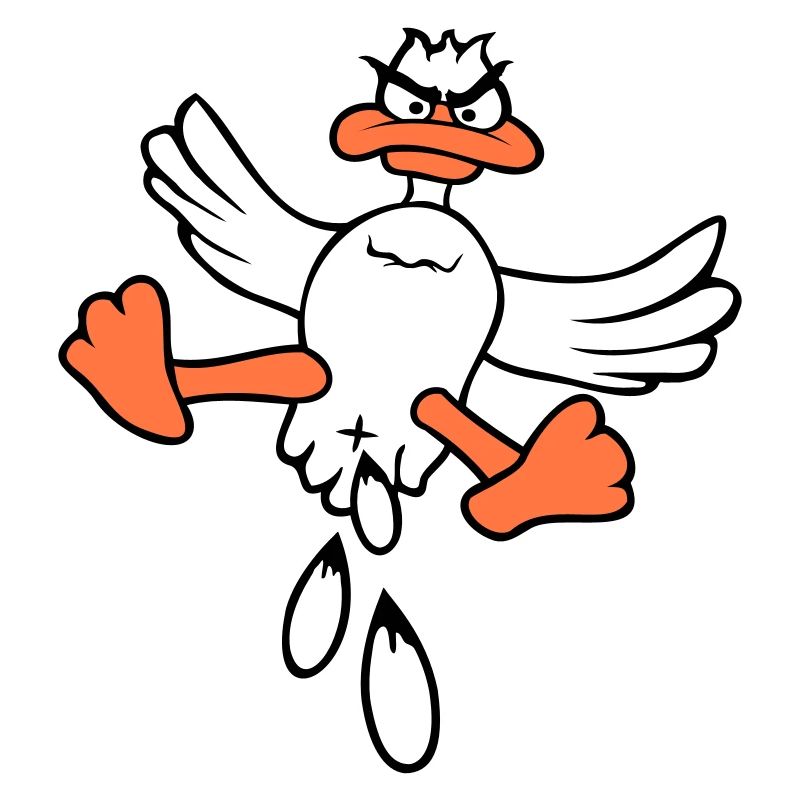 Duck Bird Flying Feces Attack From Above Attack Fun