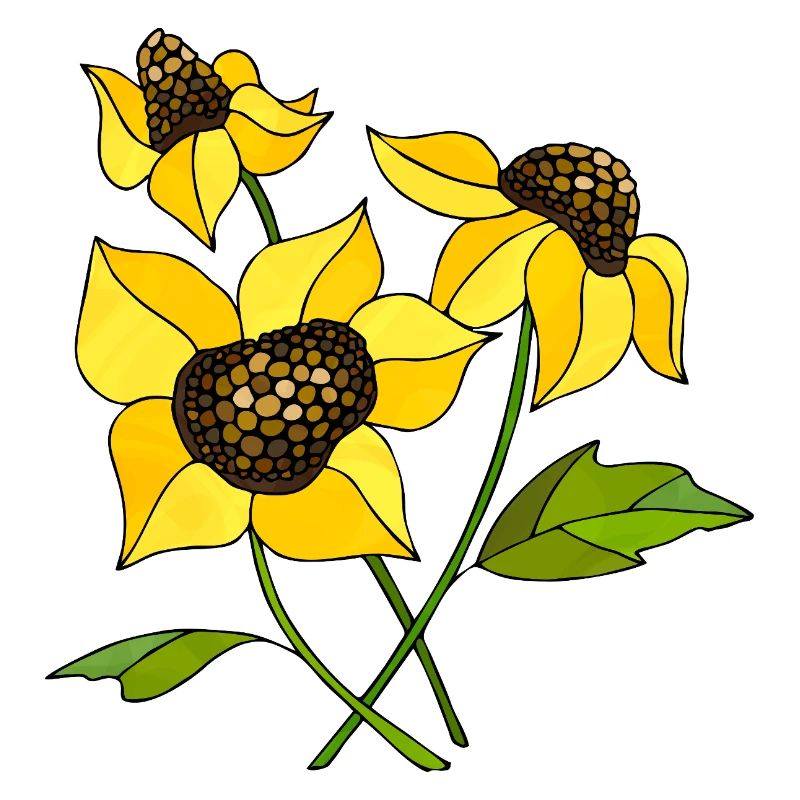 Fleur