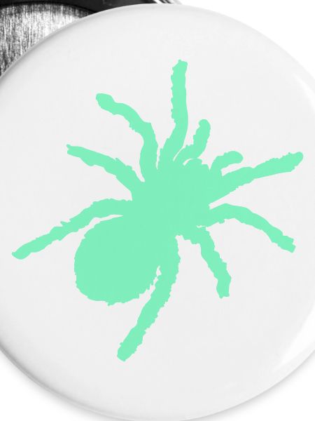 spinne