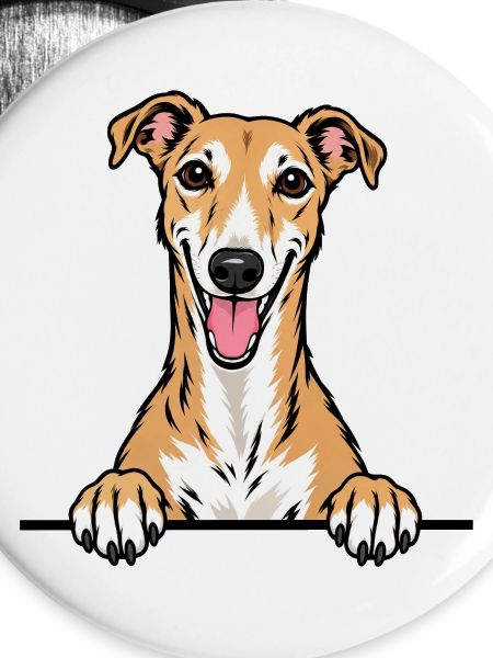 Greyhound