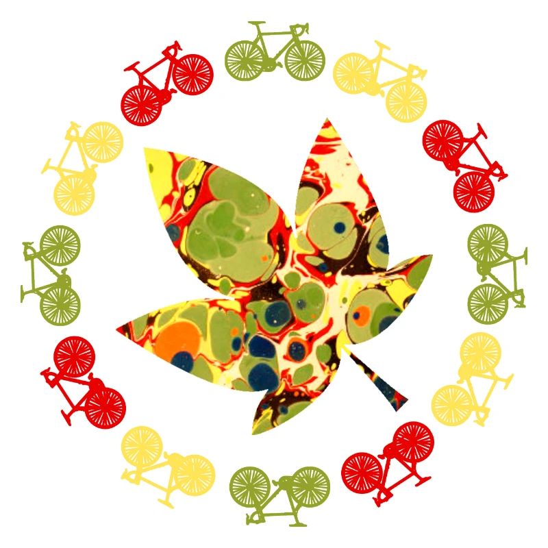 Bicycle Autumn E 41