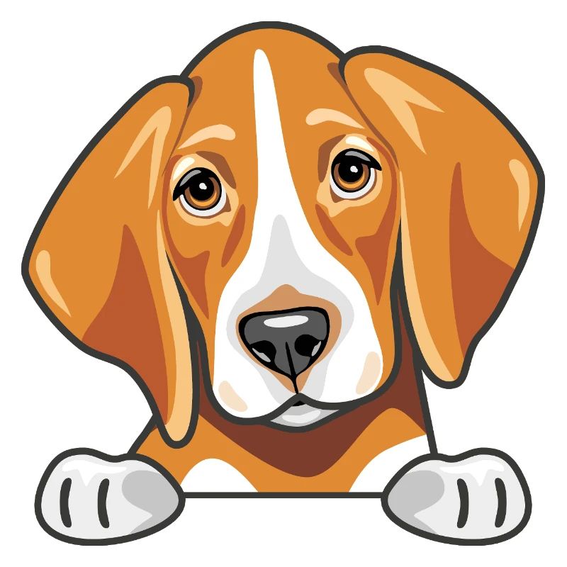 Coup d’œil mignon foxhound triste