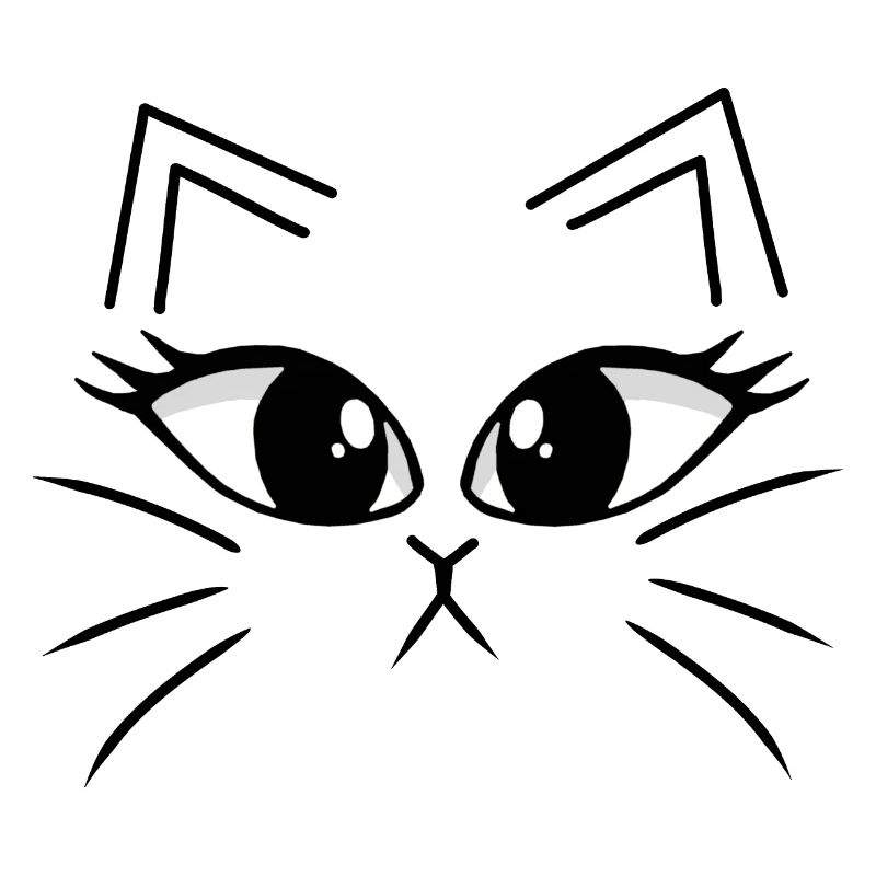 Kitten Cat Cats
