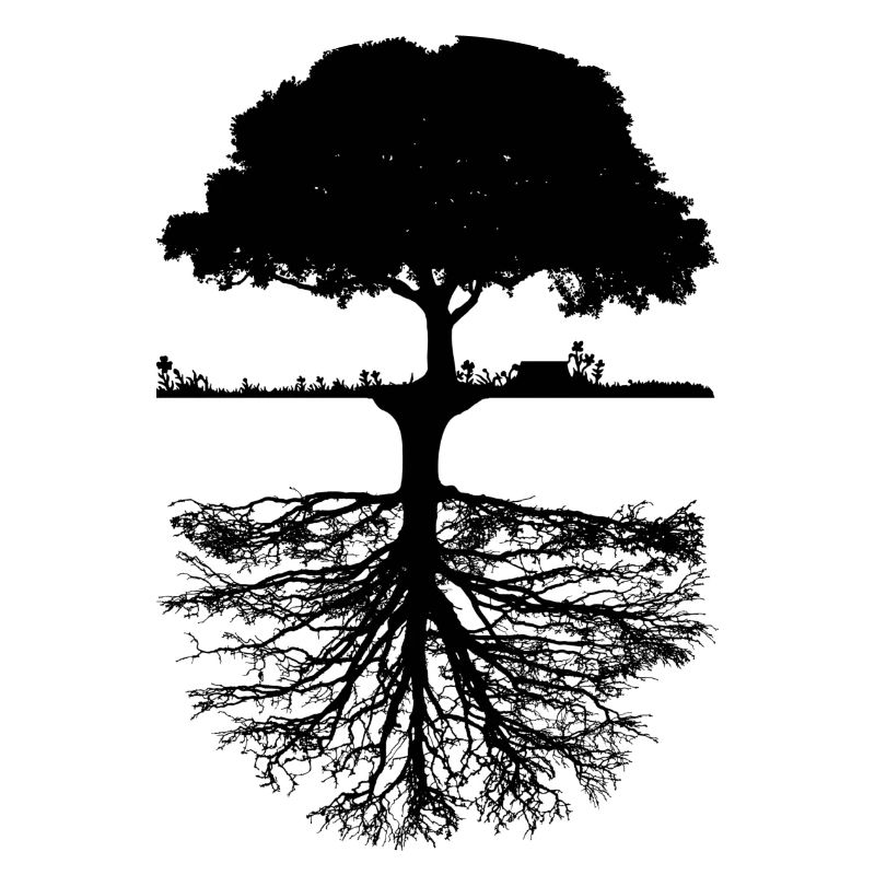 Baum