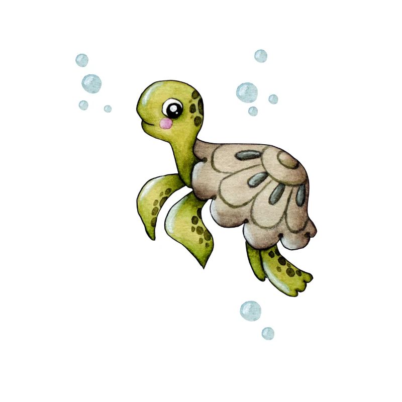 cute turtle