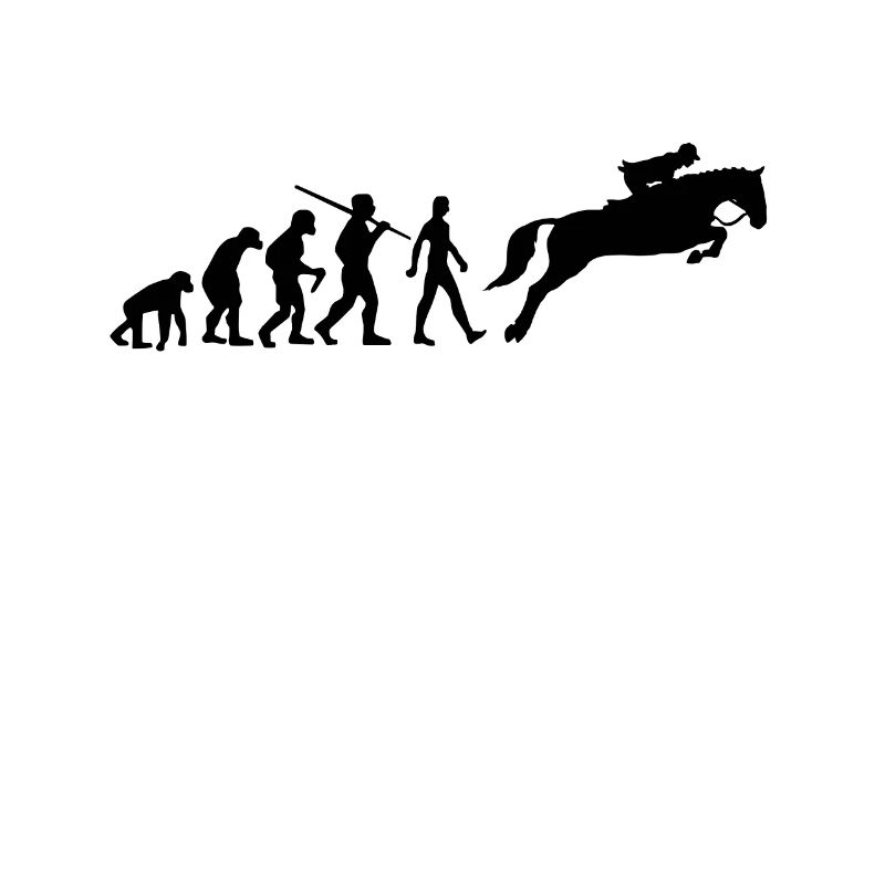 Cavalierin Evolution Chevaux