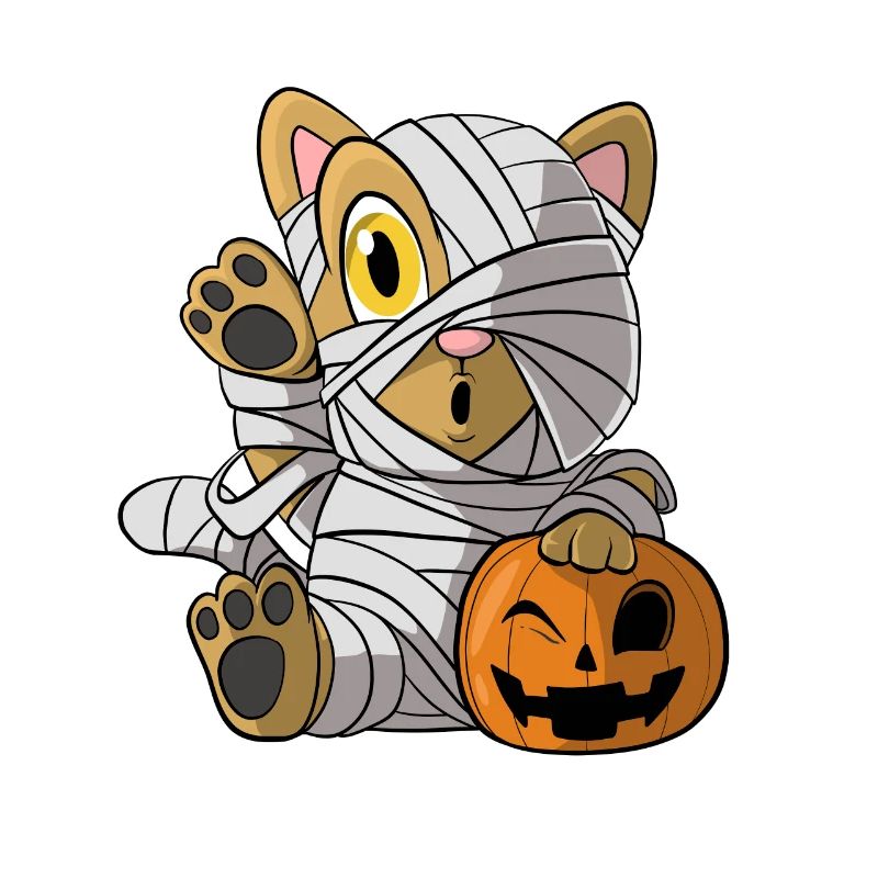 Halloween Maman Chat Citrouille Chat ChatOn
