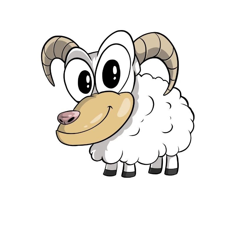 Jakobschaf Sheep Mountain Sheep