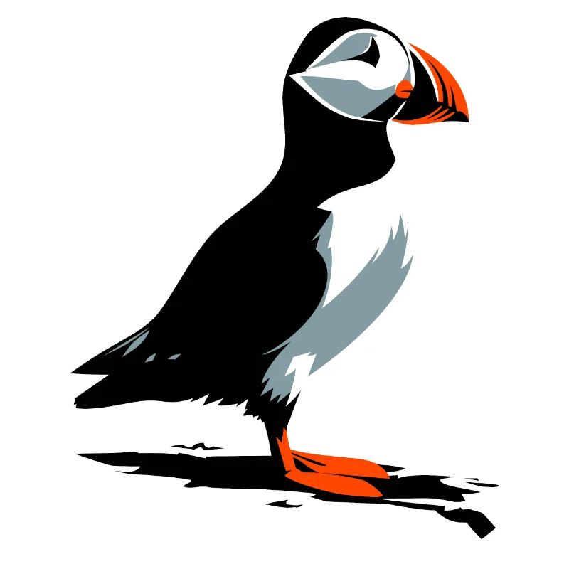 Puffin