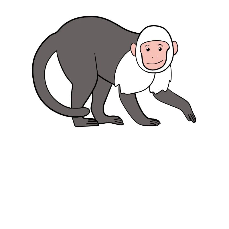 Capuchin Monkey Monkey