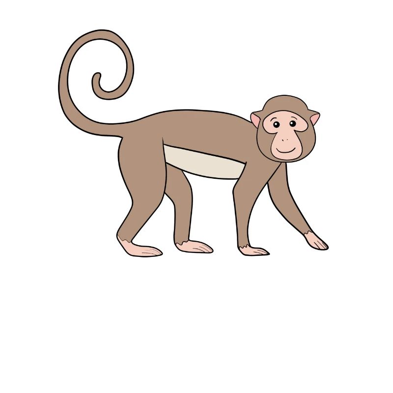 Marmoset Monkey