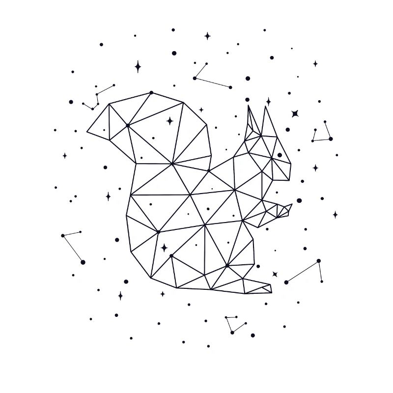 Constellation Squirrel Constellation Squirrel