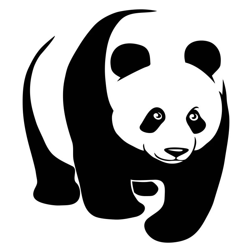panda bär bear
